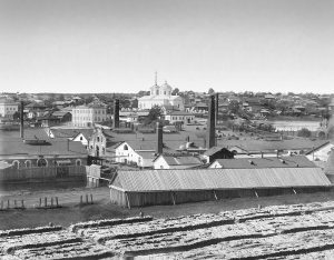 Вид Д. завода с юго-вост. стороны_1892 г.